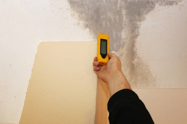 Best Asbestos and Lead Testing During Mold Inspection  in Finderne, NJ