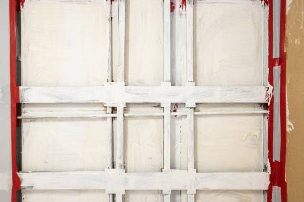 Best Forensic Mold Investigation  in Finderne, NJ
