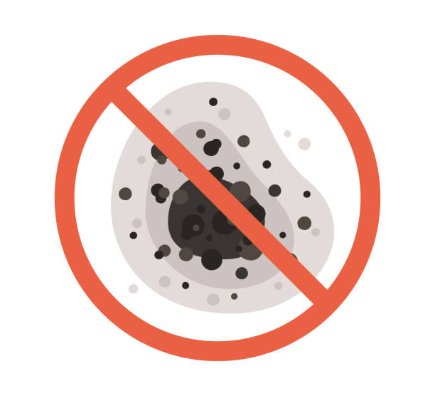 Biohazard Mold Removal in Finderne, NJ
