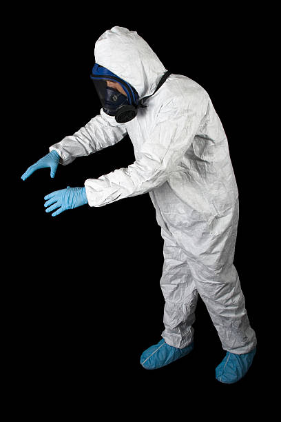 Asbestos and Lead Testing During Mold Inspection in Finderne, NJ